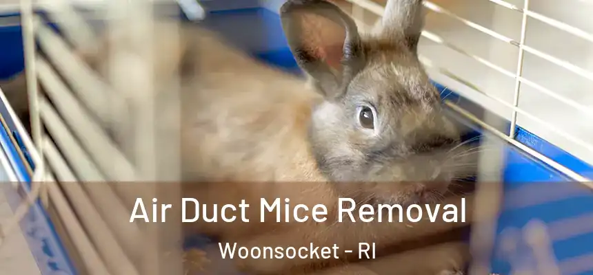Air Duct Mice Removal Woonsocket - RI