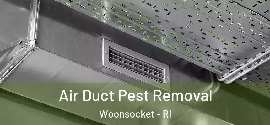  Air Duct Pest Removal Woonsocket - RI