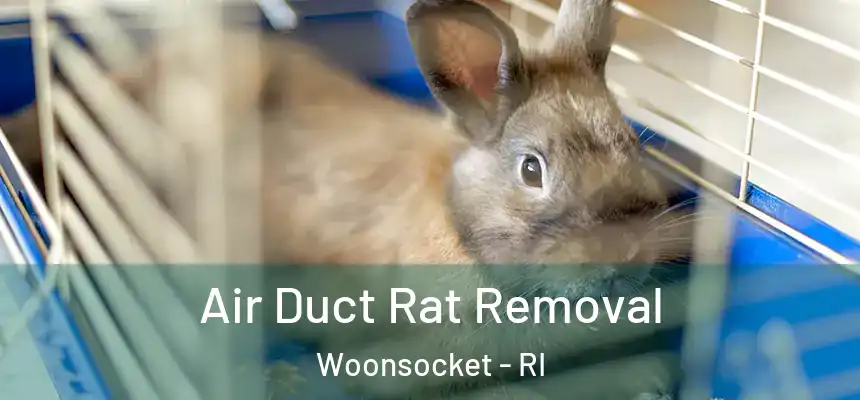 Air Duct Rat Removal Woonsocket - RI