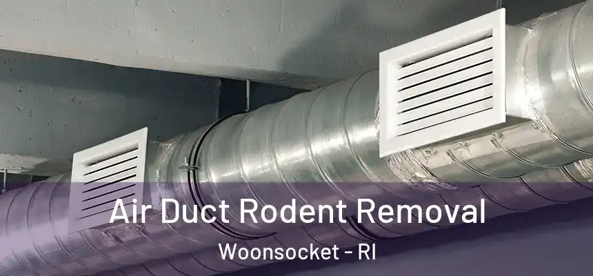 Air Duct Rodent Removal Woonsocket - RI