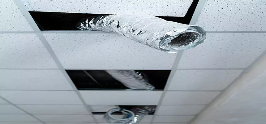 Affordable HVAC Sanitizing After Pest Removal in Woonsocket