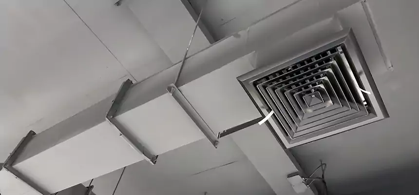 Our Rodent Droppings In Vents Services in Woonsocket, RI