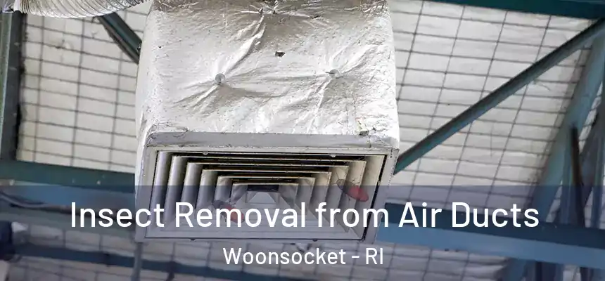 Insect Removal from Air Ducts Woonsocket - RI
