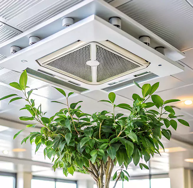 Why Homeowners & Businesses Trust Us in Woonsocket, RI?